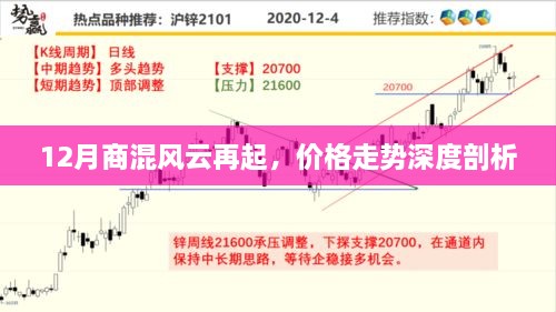 12月商混市场风云再起，价格走势深度剖析