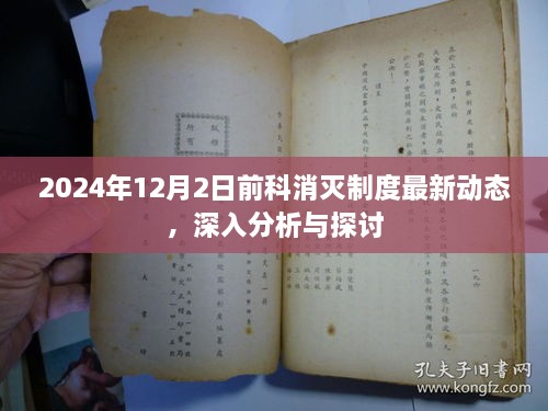 2024年12月前科消灭制度最新动态，深度分析与探讨