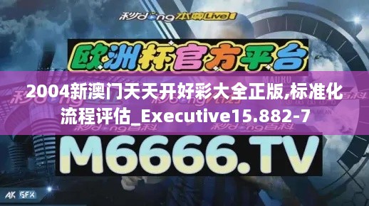 2004新澳门天天开好彩大全正版,标准化流程评估_Executive15.882-7