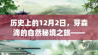 芽森滴的绿色秘境之旅，探寻内心的避风港——历史上的12月2日