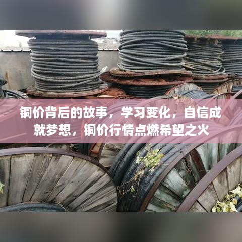 铜价背后的故事，学习变化，自信铸梦，行情之火点燃希望