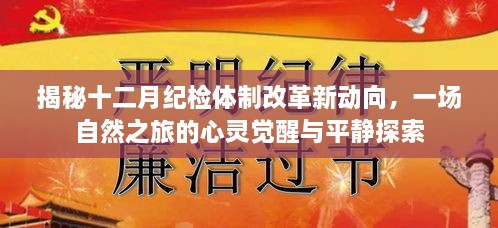 2024年12月4日 第45页