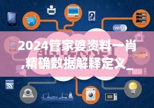 2024管家婆资料一肖,精确数据解释定义_ios28.522-2