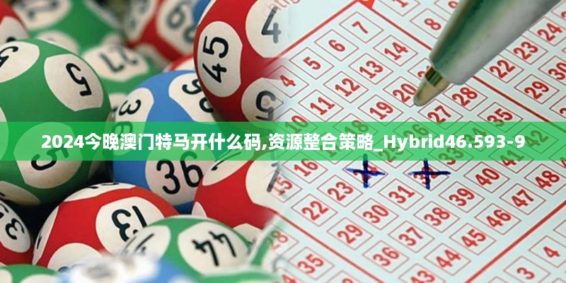 2024今晚澳门特马开什么码,资源整合策略_Hybrid46.593-9