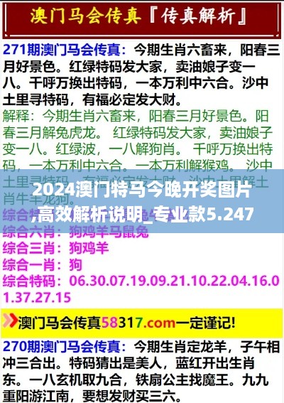 2024澳门特马今晚开奖图片,高效解析说明_专业款5.247-3