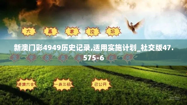 新澳门彩4949历史记录,适用实施计划_社交版47.575-6