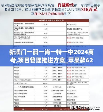 新澳门一码一肖一特一中2024高考,项目管理推进方案_苹果款62.998-6