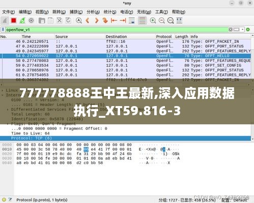 777778888王中王最新,深入应用数据执行_XT59.816-3