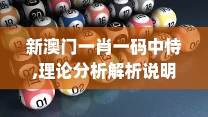 新澳门一肖一码中恃,理论分析解析说明_基础版74.774-1