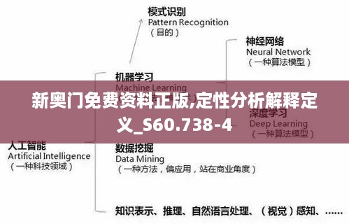 新奥门免费资料正版,定性分析解释定义_S60.738-4