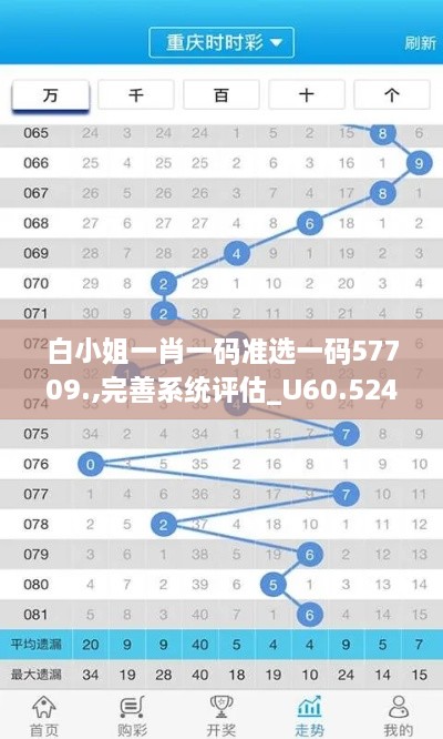 白小姐一肖一码准选一码57709.,完善系统评估_U60.524-3