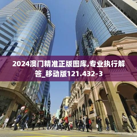 2024澳门精准正版图库,专业执行解答_移动版121.432-3