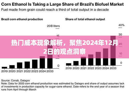 热门威本现象深度解析，聚焦未来，洞察2024年12月的新观点