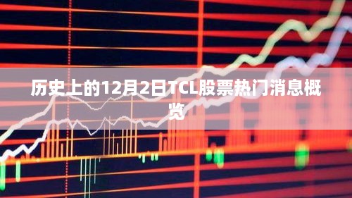 TCL股票热门消息概览，历史12月2日回顾