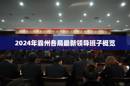 霸州各局最新领导班子概览（2024年）