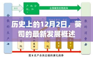 葵司最新发展概述，回望历史上的12月2日