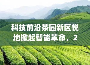 科技前沿深度解析，茶园新区悦地智能革命与2024年热门高科技产品展望