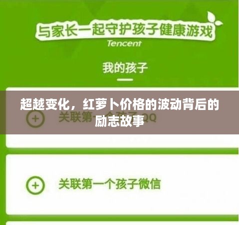 红萝卜价格波动背后的励志故事，超越挑战，勇往直前