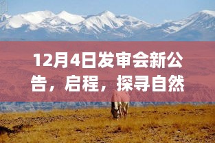 启程探索自然美景之旅，发审会新公告揭晓，启程就在今日