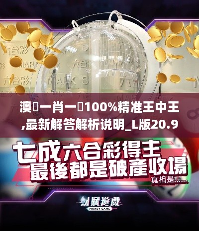 澳門一肖一碼100%精准王中王,最新解答解析说明_L版20.930-9