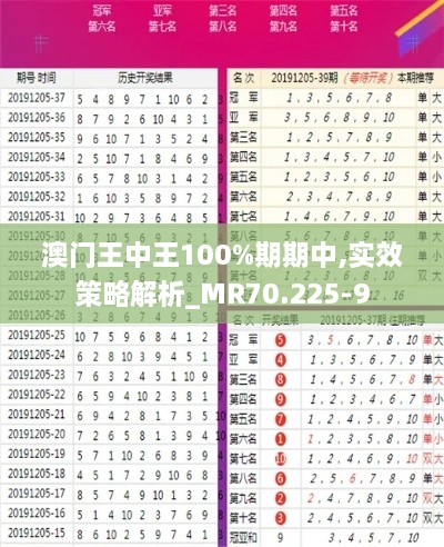 澳门王中王100%期期中,实效策略解析_MR70.225-9