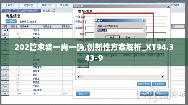 202管家婆一肖一码,创新性方案解析_XT94.343-9