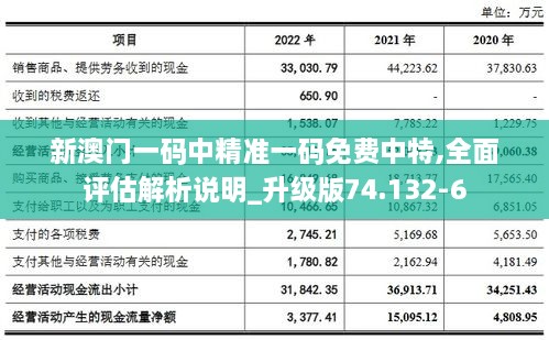 新澳门一码中精准一码免费中特,全面评估解析说明_升级版74.132-6