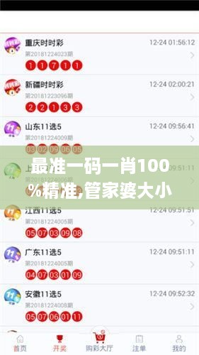 最准一码一肖100%精准,管家婆大小中特,详细解答解释定义_soft33.457-3