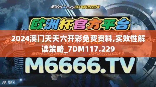 2024澳门天天六开彩免费资料,实效性解读策略_7DM117.229