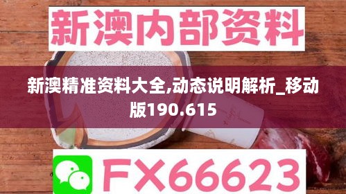 新澳精准资料大全,动态说明解析_移动版190.615