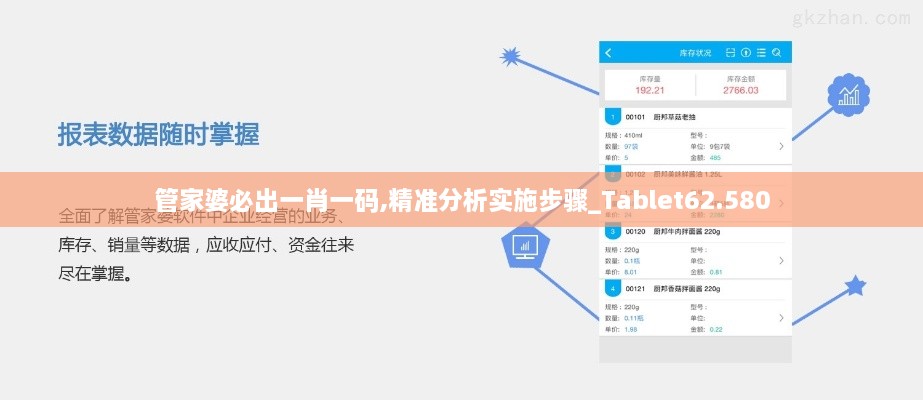 管家婆必出一肖一码,精准分析实施步骤_Tablet62.580