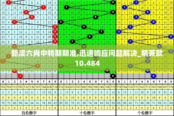 新澳六肖中特期期准,迅速响应问题解决_精英款10.484