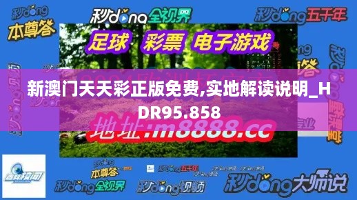 新澳门天天彩正版免费,实地解读说明_HDR95.858