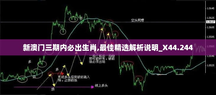 新澳门三期内必出生肖,最佳精选解析说明_X44.244