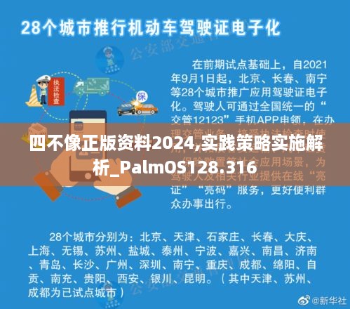 四不像正版资料2024,实践策略实施解析_PalmOS128.316