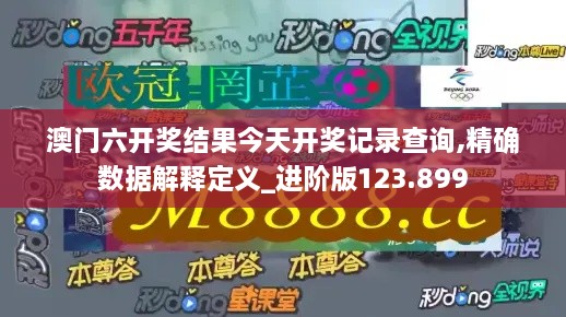 澳门六开奖结果今天开奖记录查询,精确数据解释定义_进阶版123.899