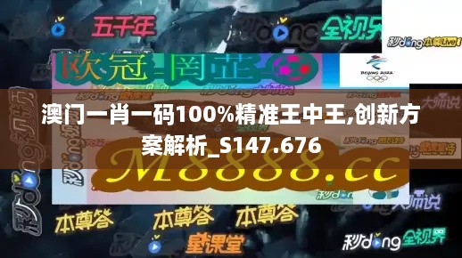 澳门一肖一码100%精准王中王,创新方案解析_S147.676