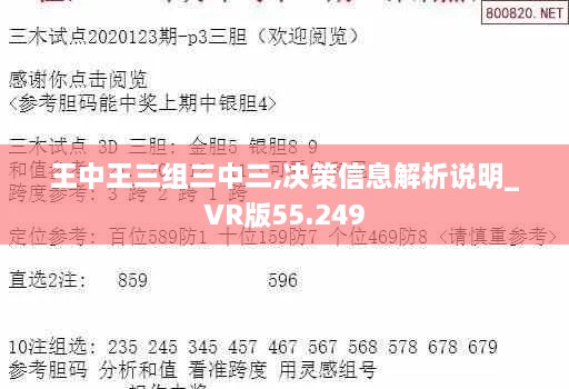 王中王三组三中三,决策信息解析说明_VR版55.249
