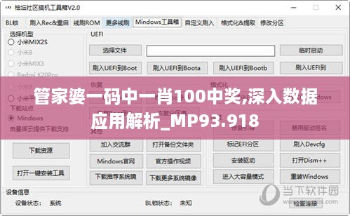 管家婆一码中一肖100中奖,深入数据应用解析_MP93.918