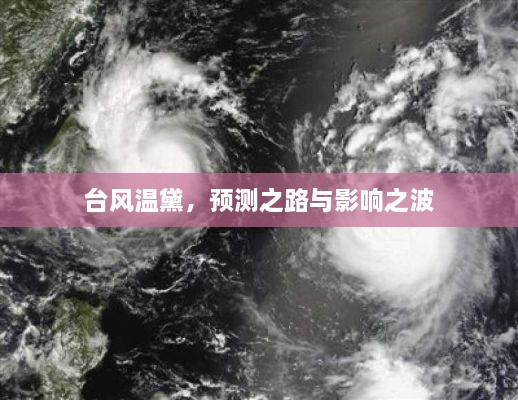 台风温黛，预测之路及影响波动分析