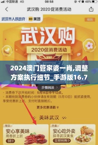 2024澳门管家婆一肖,调整方案执行细节_手游版16.741