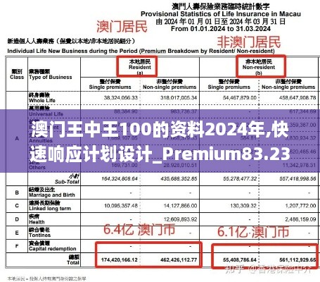 澳门王中王100的资料2024年,快速响应计划设计_Premium83.233