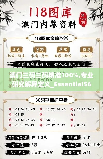 澳门三码三码精准100%,专业研究解释定义_Essential56.345