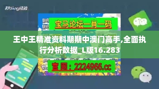 王中王精准资料期期中澳门高手,全面执行分析数据_L版16.283