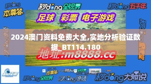 2024澳门资料免费大全,实地分析验证数据_BT114.180