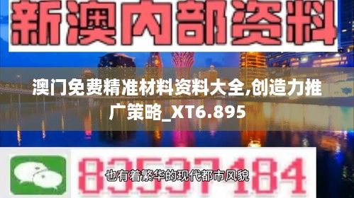 澳门免费精准材料资料大全,创造力推广策略_XT6.895