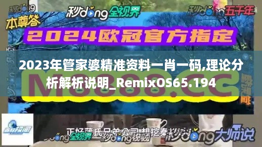 2023年管家婆精准资料一肖一码,理论分析解析说明_RemixOS65.194