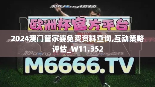 2024澳门管家婆免费资料查询,互动策略评估_W11.352