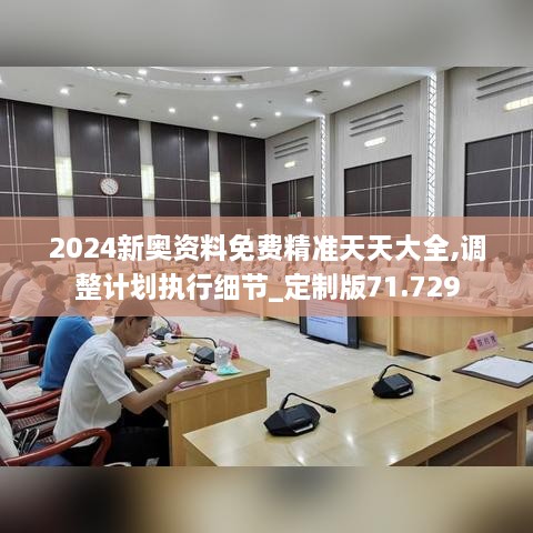 2024新奥资料免费精准天天大全,调整计划执行细节_定制版71.729