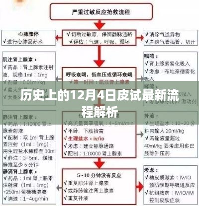 历史上的皮试流程最新解析，聚焦十二月四日之变